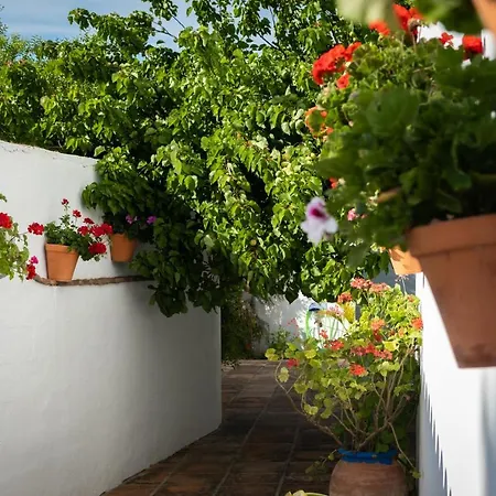 Guest house Cabo Roche *